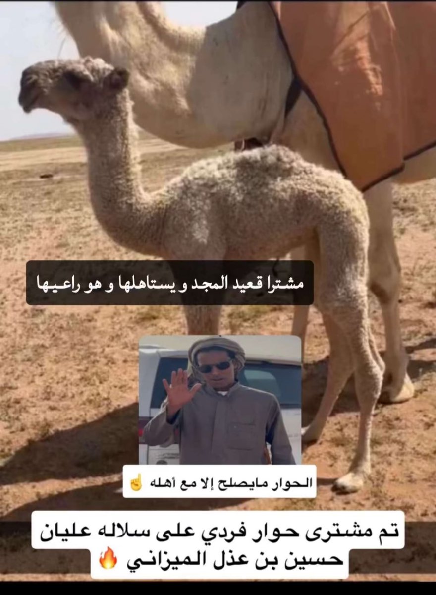 shgigh's tweet photo. #قعيد_المجد 💯💯جوكم أهلها 🔥🔥 https://t.co/cw5GModkrS