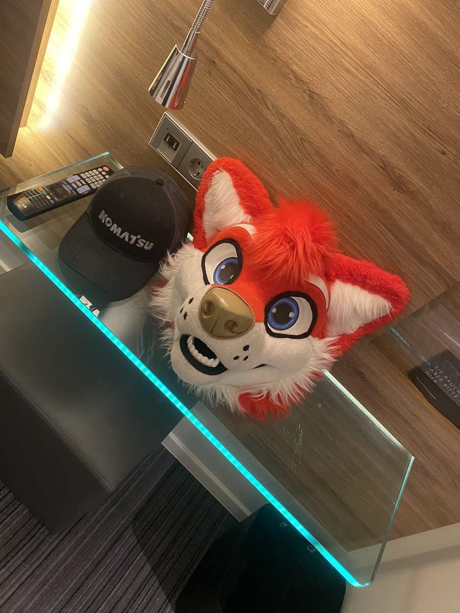 Flight from Copenhagen to Munich got delayed, missed my flight back to the US. Now stuck in a hotel on a 24 hour layover lmao