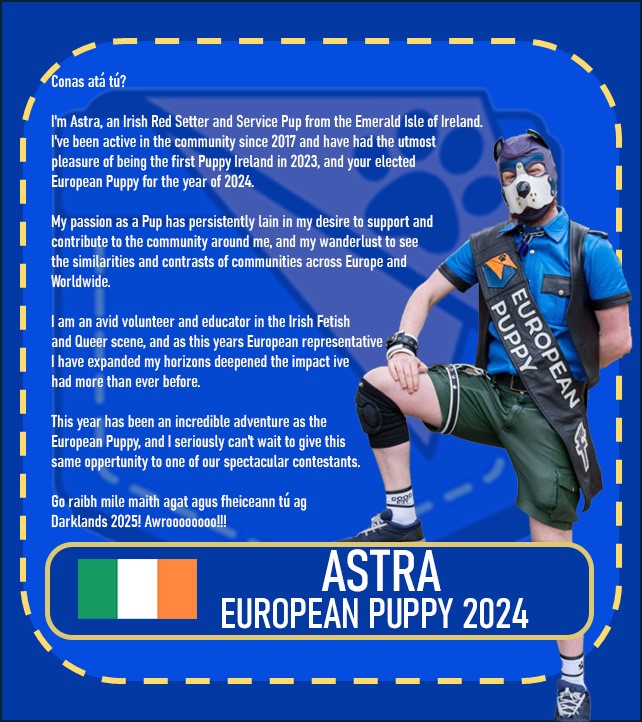 European Puppy And Handler tweet media