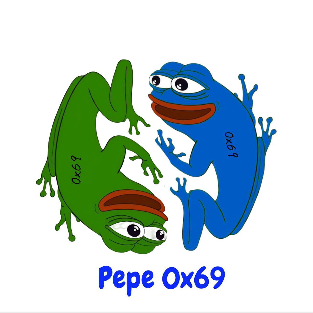 0x69 for life $PEPE