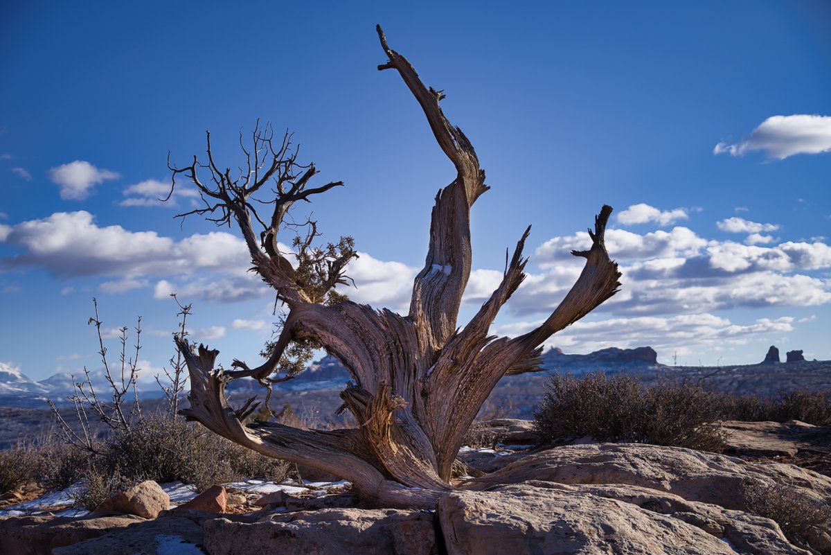 Good late morning, everyone! I hope everyone has a great day! Utah