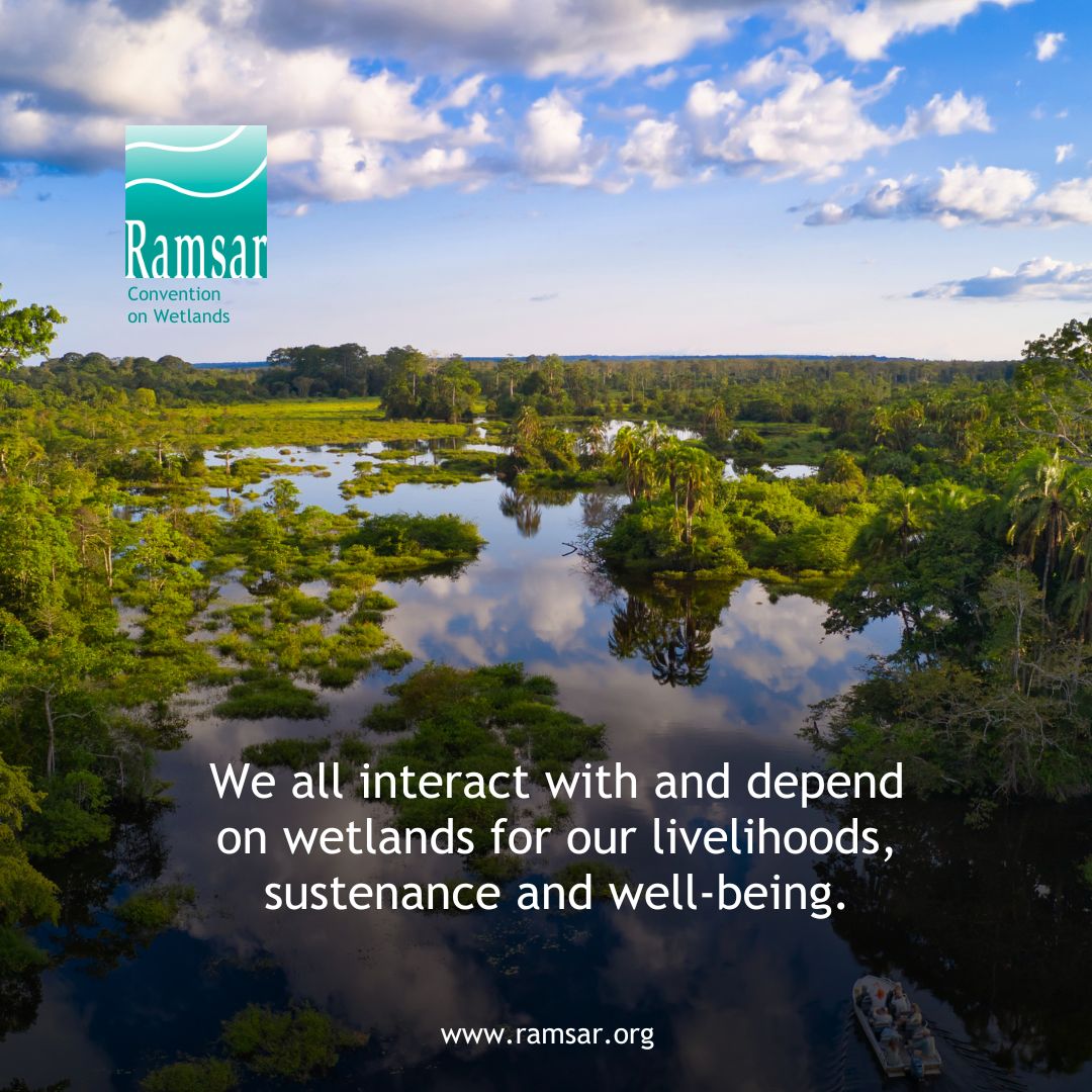 💧Wetland biodiversity matters for our health, our food supply, for tourism and for jobs. 

🌿Wetlands are vital for humans, for other ecosystems and for our climate, providing essential ecosystem services, such as water regulation, including flood control and water purification.