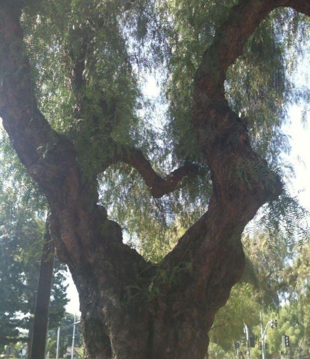 “Breathing in, I calm body and mind. Breathing out, I smile. Dwelling in the present moment I know this is the only moment.” - Thich Nhat Hanh 

#MindfulnessMonday
#EssexPhysicalTherapy
#GeorgiaPhysicalTherapy
#OnTheMovePhysicalTherapy