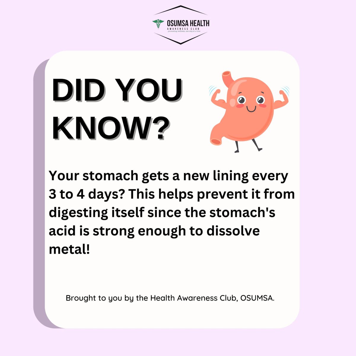 osumsa_hac's tweet photo. Your stomach is stronger than you think! πͺπ₯
Did you know your stomach regenerates its lining every 3 to 4 days to protect itself from its own acid, which is powerful enough to dissolve metal? Talk about self-care at its finest!
#GutHealth #DigestiveFacts #HealthAwareness https://t.co/RxS83N8AqH