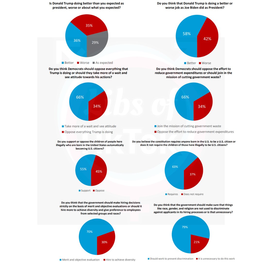 Harvard CAPS-Harris Poll:

- 66% say Democrats should take a wait-and-see approach to Trump's actions.
- 66% say Democrats should join the mission to cut government waste.
- 52% say Democrats deliberately kept the border open for illegal aliens.
- 70% say hiring should be based