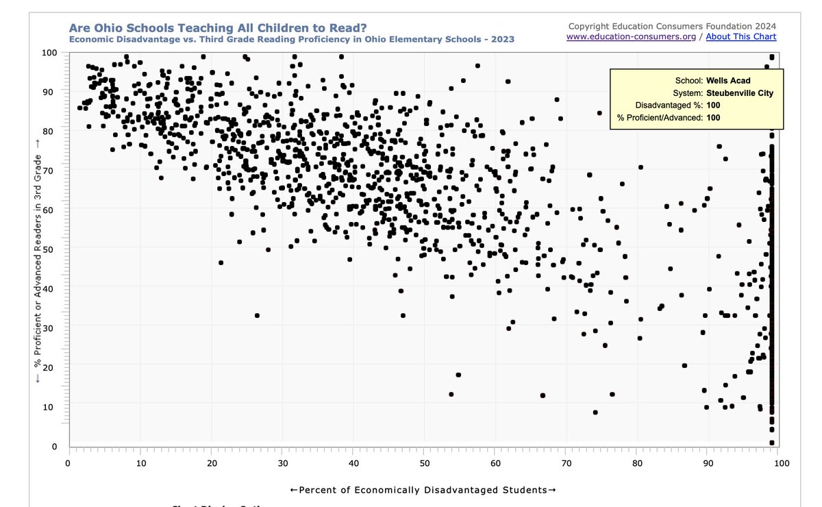 Elizabeth Brown tweet media