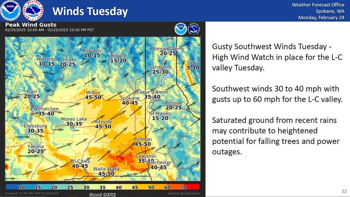 AvistaUtilities's tweet image. Strong winds are expected tomorrow (Tuesday, 2/25). High winds combined with saturated soil may cause trees to contact power lines. 

Avista crews are prepared to respond quickly to any outages.

For updates or to report an outage, visit myavista.com/outage.