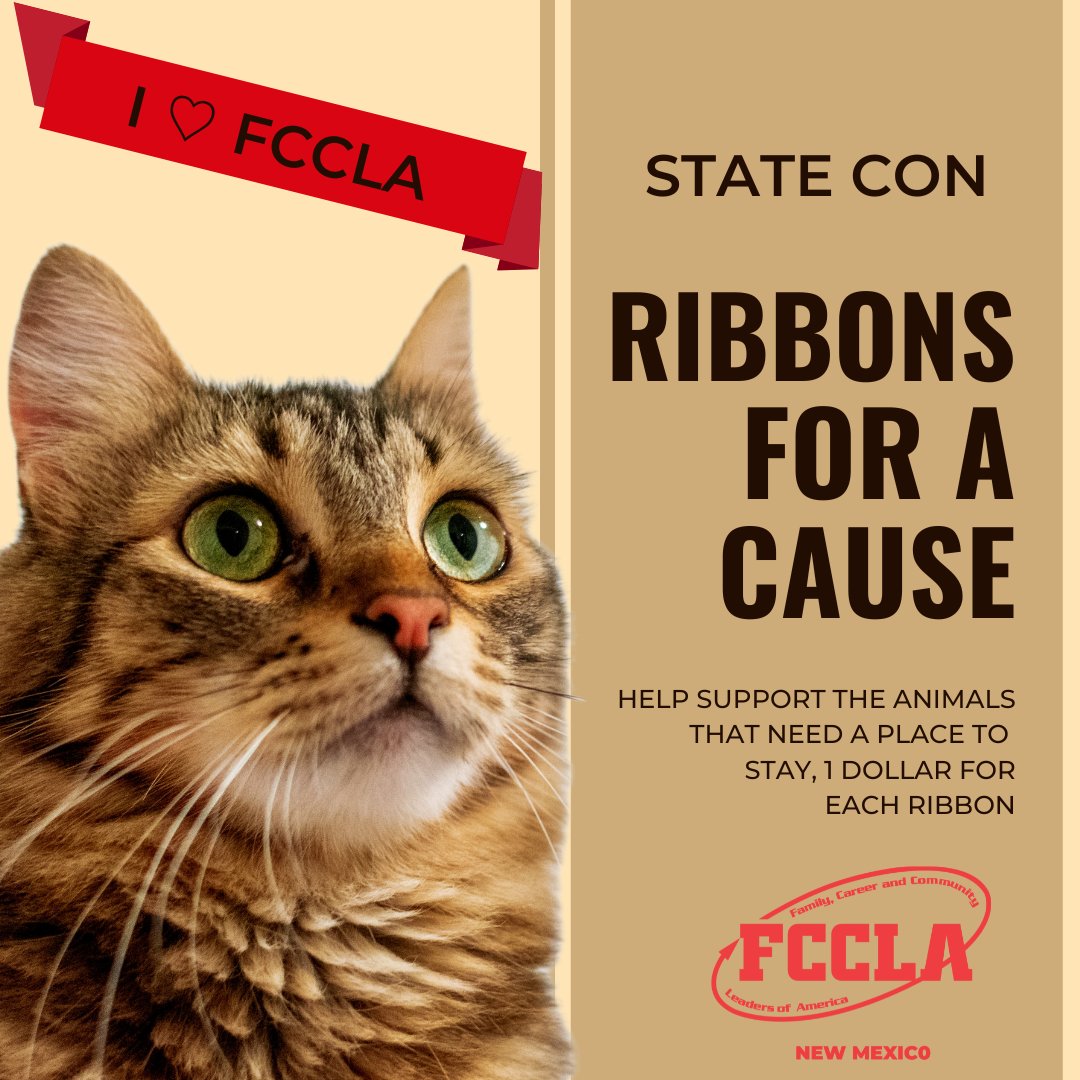 Hello NM FCCLA, since state is in 3 days, we have a new community event, Ribbons for a Cause. Please bring a dollar or two to state to have a cute ribbon on your nametag.