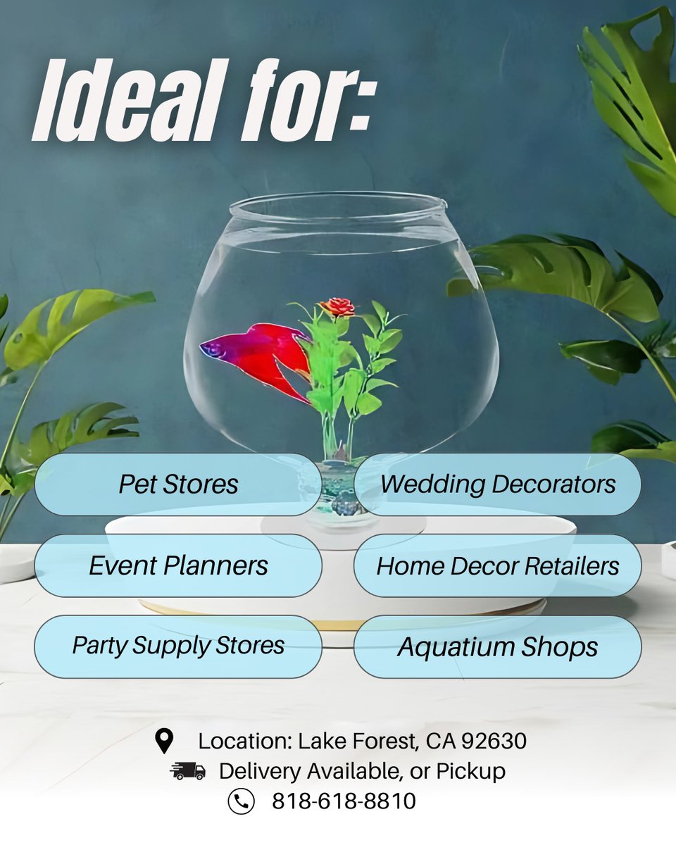 SWProductsSW's tweet photo. We’re clearing out 1.7 Gallon Brandy Snifter Fish Bowls at up to 90% off discounted prices – available by full lot or pallet for immediate clearance!

Limited stock – grab yours now! 📞 818-618-8810

#ClearanceSale #FishBowl #BettaTank #SWProducts #WholesaleDeals #LocalSale https://t.co/aO32h2GNOU