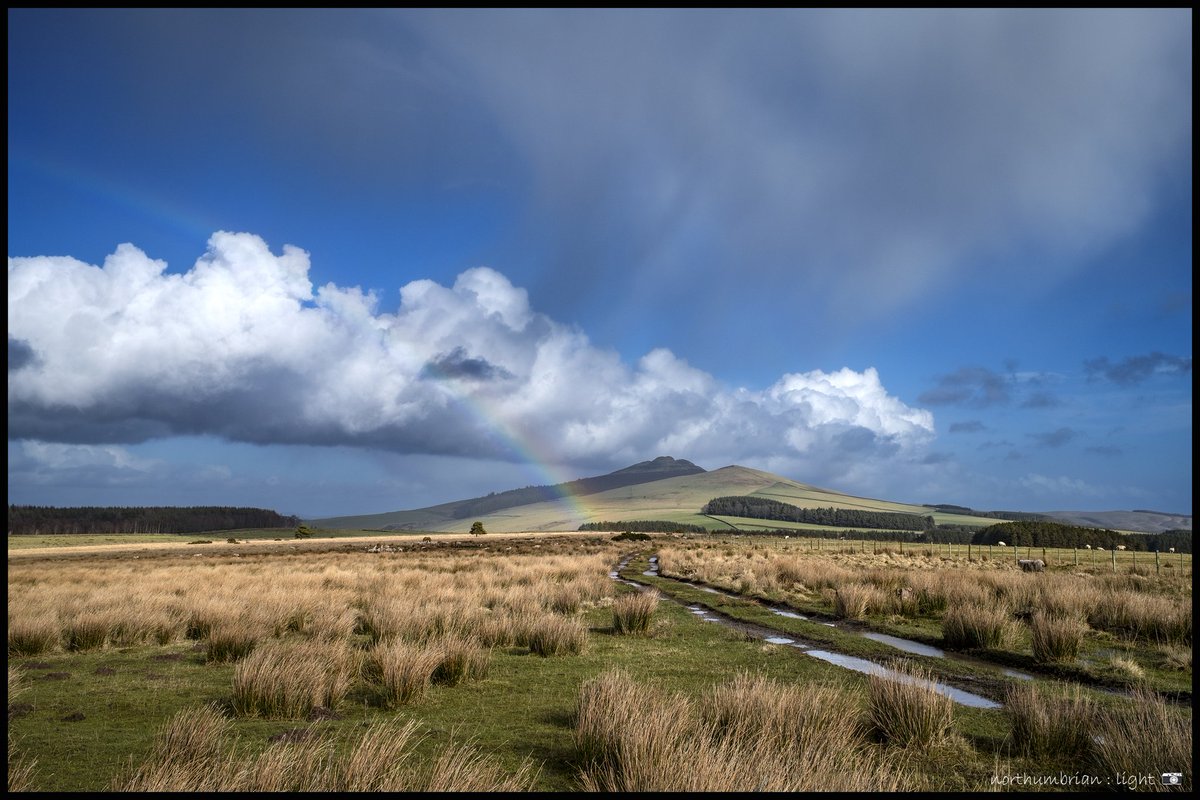 Robin_Down's tweet image. Into the Scottish Borders on the BMW R1250 GS today. So much standing water - it must be testing the patience/skills of local greens staff #golf #scotlandgolf #bordersgolf