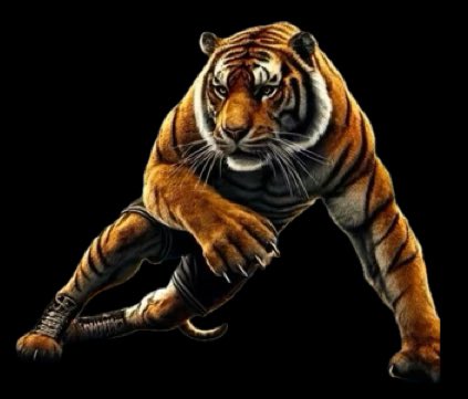 🤼 Jonathan Suarez (10th gr) the Section One 116 lbs. Champion will be wrestling in the NYS Championships in Albany beginning Fri., Feb. 28. He stated that winning Sections was surreal and something he’ll never forget. He is now focused on doing well at States. Go Jonathan!! 🐅🙌