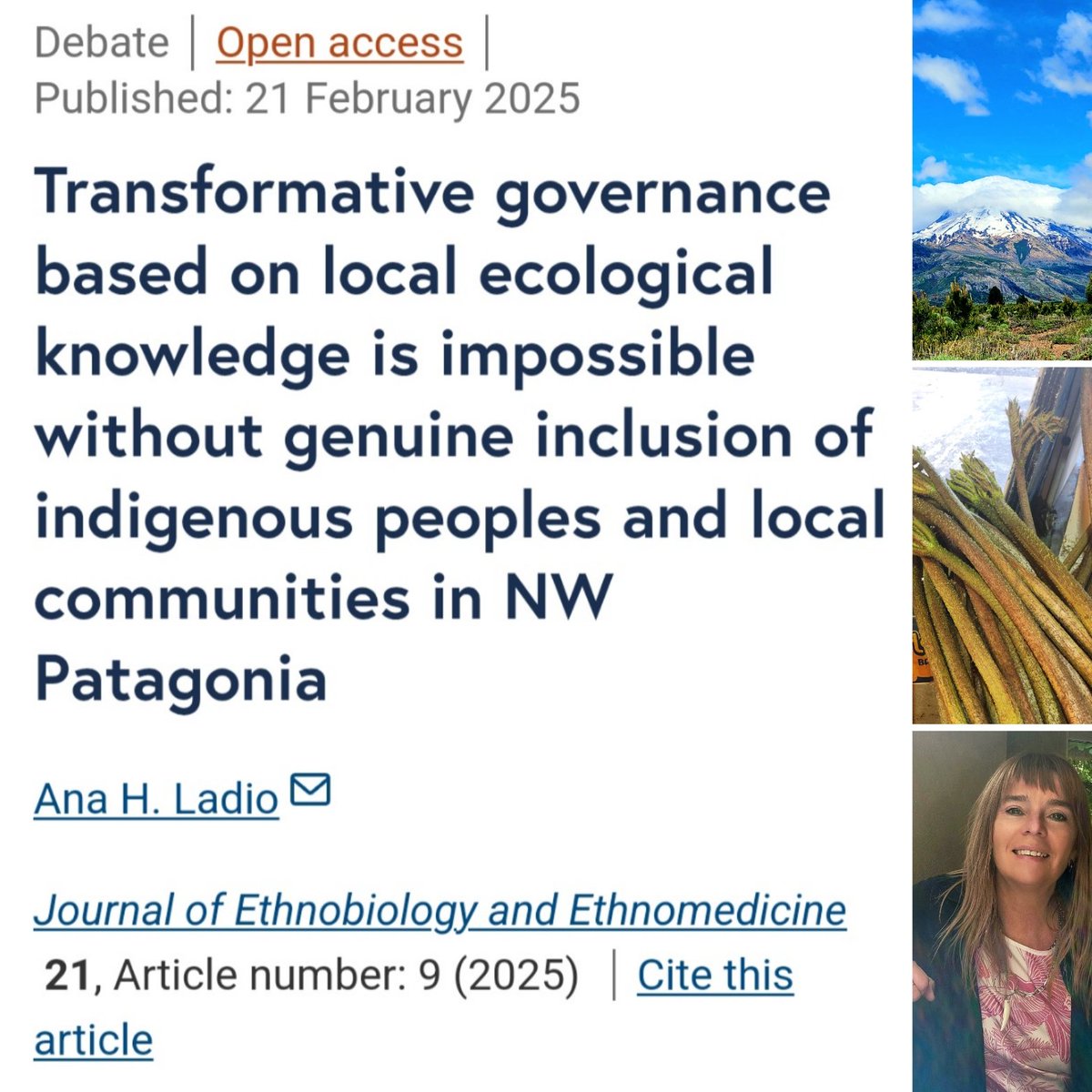 📢 New publication alert! 
"Transformative governance based on local ecological knowledge is impossible without genuine inclusion of indigenous peoples and local communities in NW Patagonia" Journal of Ethnobiology and Ethnomedicine (2025) 21:9 doi.org/10.1186/s13002…