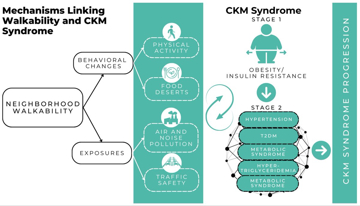 Pedro Salerno (@pedrorvosalerno) on Twitter photo 🌳🚶♂️❤️
How walkable is your neighborhood?
Our latest narrative review article (from the <a href="/Elmhurstmed/">Elmhurst Internal Medicine Residency</a> Cardio Research Team) explores the connection between neighborhood walkability and CKM Syndrome.
Read here: shorturl.at/3wd1d 🌳🚶♂️❤️
How walkable is your neighborhood?
Our latest narrative review article (from the <a href="/Elmhurstmed/">Elmhurst Internal Medicine Residency</a> Cardio Research Team) explores the connection between neighborhood walkability and CKM Syndrome.
Read here: shorturl.at/3wd1d
