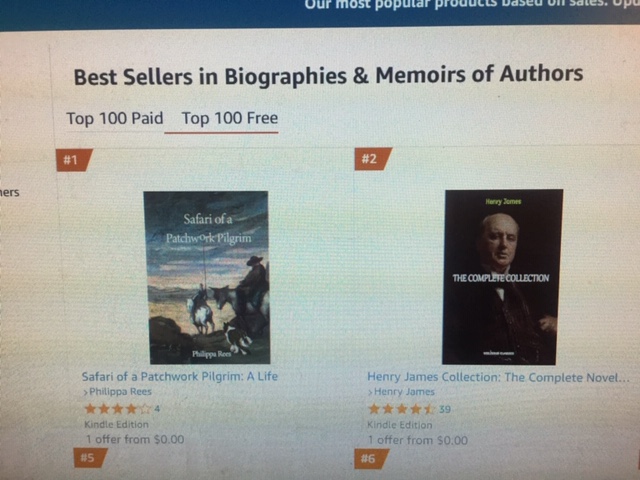 Free E book of Safari of a Patchwork Pilgrim today (24th) and tomorrow (25th) Shot to No 1 on Amazon. Check out the reviews?