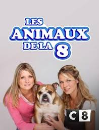 fanidps's tweet photo. Les animateurs des émissions de #C8 comme #Lesanimauxdela8 ou #Directauto peuvent remercier le gugus de @Cyrilhanouna seul responsable de la décision de l'@Arcom_fr
Merci à ce minable de #TPMP ! https://t.co/kfI4cjV07S