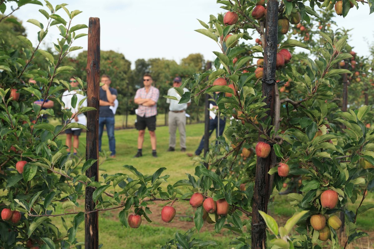 Missed our NRoSO workshops this winter? 🍎

We still have places left on our FINAL Horticultural course of the season, taking place online this Friday 28th February 💻

Learn more and book here: 
loom.ly/HePrrWg