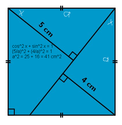 David Shaffer tweet media