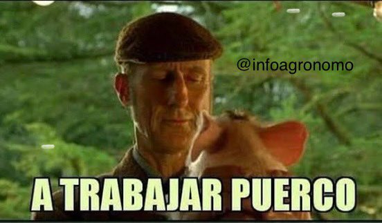 Cuando recién obtienes el título de Agrónomo y encuentras trabajo…
