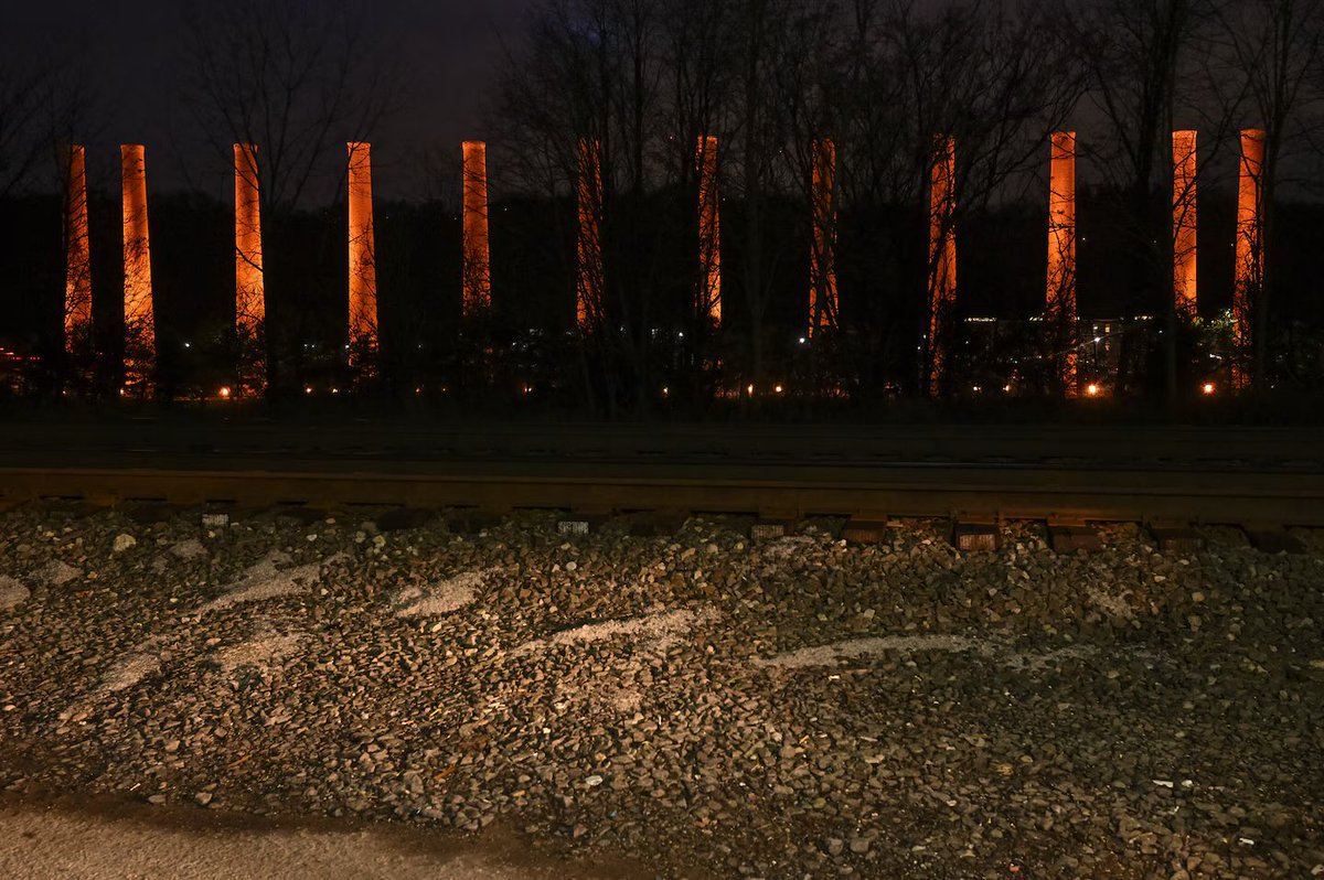 ZitoSalena tweet media