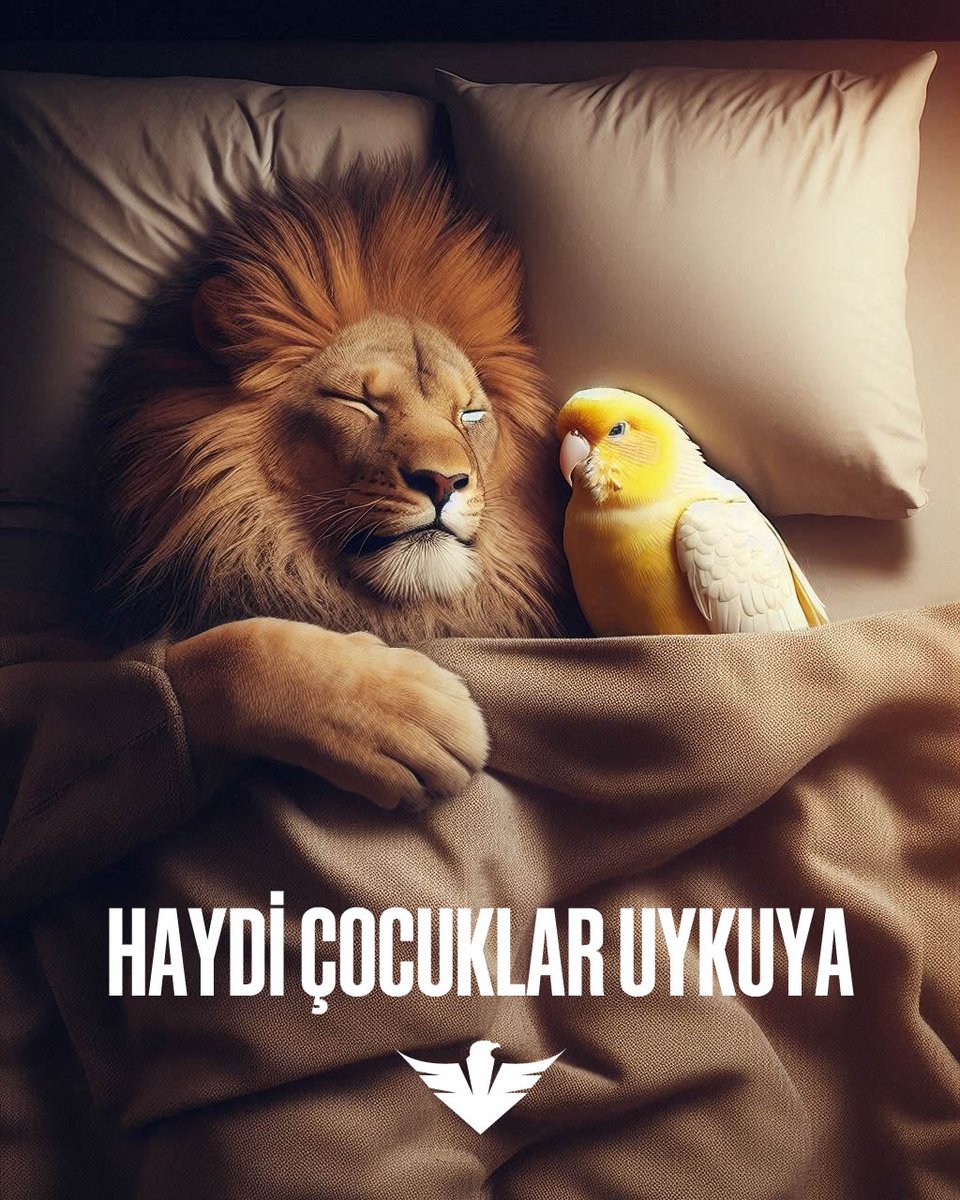 💤 Her sene, aynı terane.