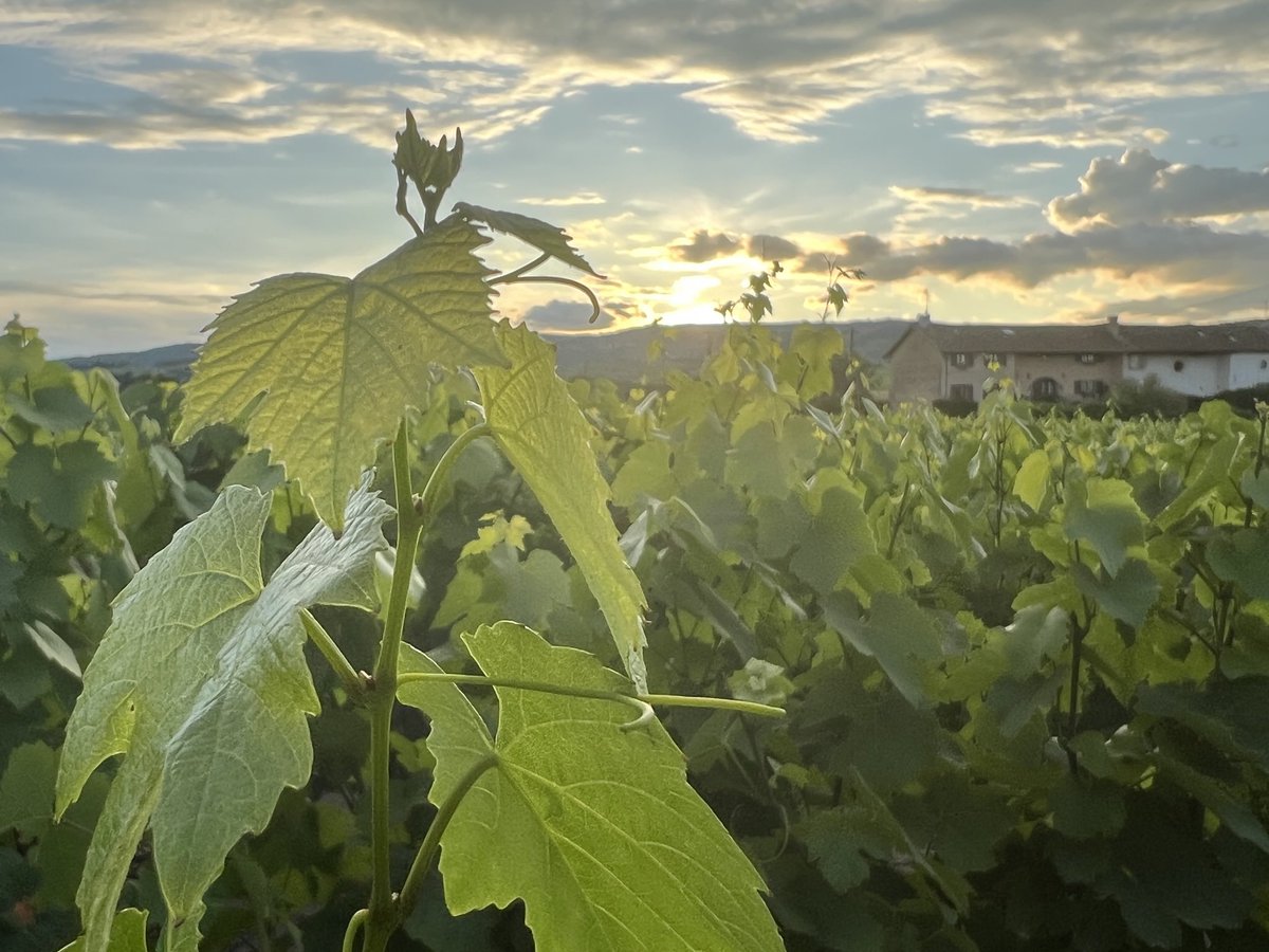🚜 Cap sur le Salon de l’Agriculture ! 🇫🇷

L’#agriculture, c’est notre alimentation, notre environnement, notre souveraineté. 

Avant de plonger dans l’effervescence du #SIA2025, voici 5 bonnes raisons d’être fier de notre agriculture française ! 🌱🐄

#FrAgTw 🧵/