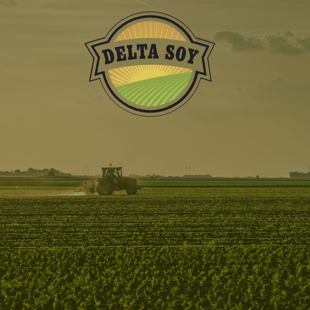 DeltaSoy's tweet image. Every day, your hard work inspires us. 

At Delta Soy, we’re proud to support farmers with programs that make a difference. Here’s to growing success together! 💚

#DeltaSoy #ThankYouFarmers
