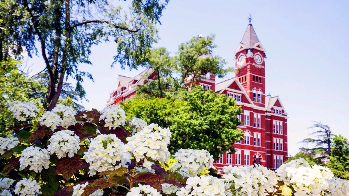 AuburnFM's tweet image. Auburn University was again named one of the most beautiful college campuses in the United States by the Condé Nast Traveler, an international traveling and culture network.
Auburn's campus will always be our priority, and you can bet it doesn't stay this beautiful on its own!