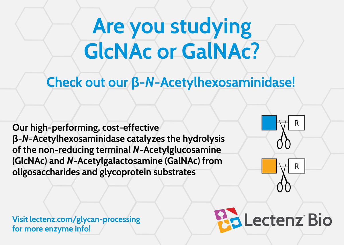 lectenz_bio's tweet image. 
