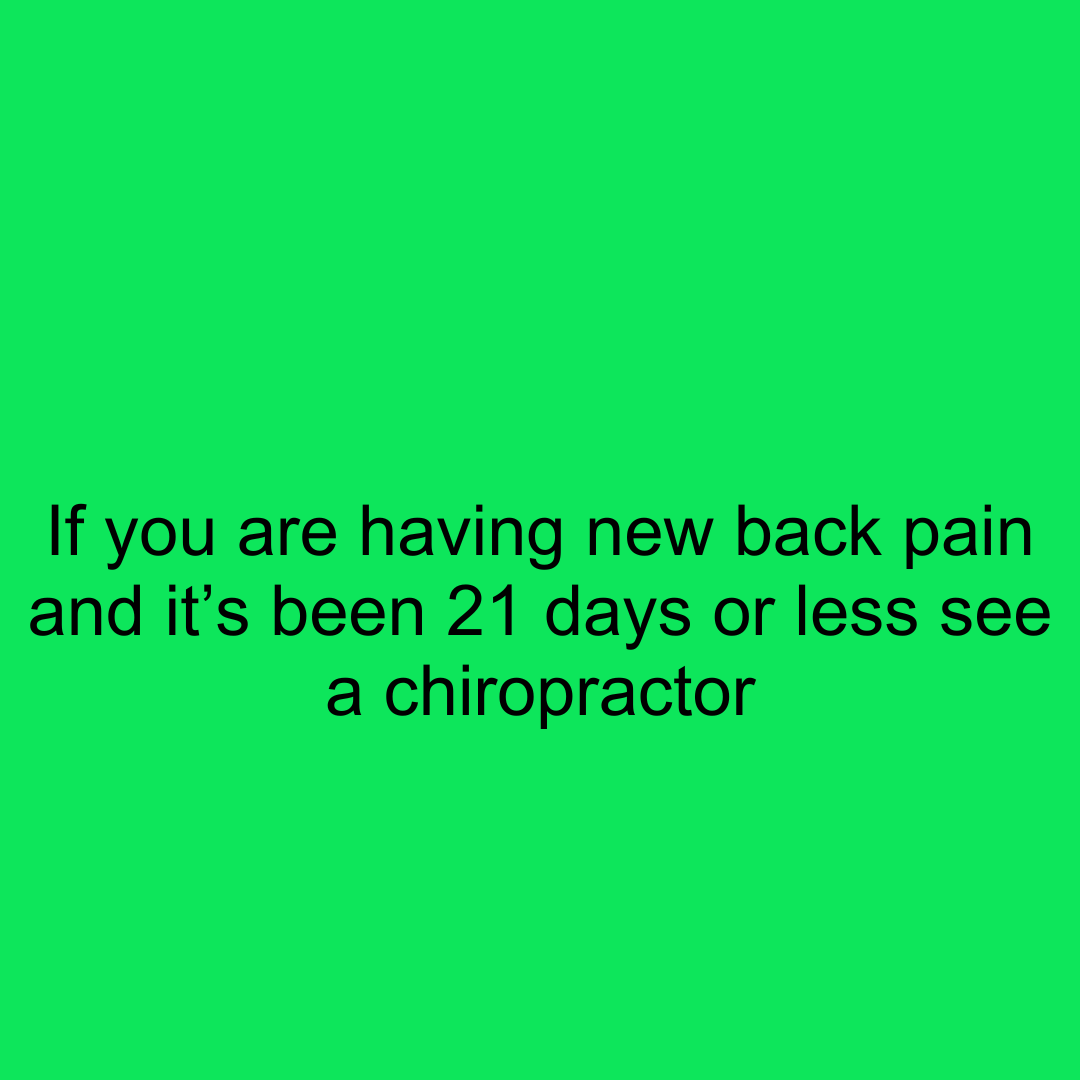 Get Back LLC tweet media