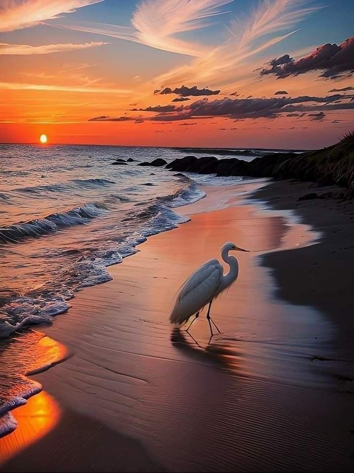 Beth (@beth396) on Twitter photo 