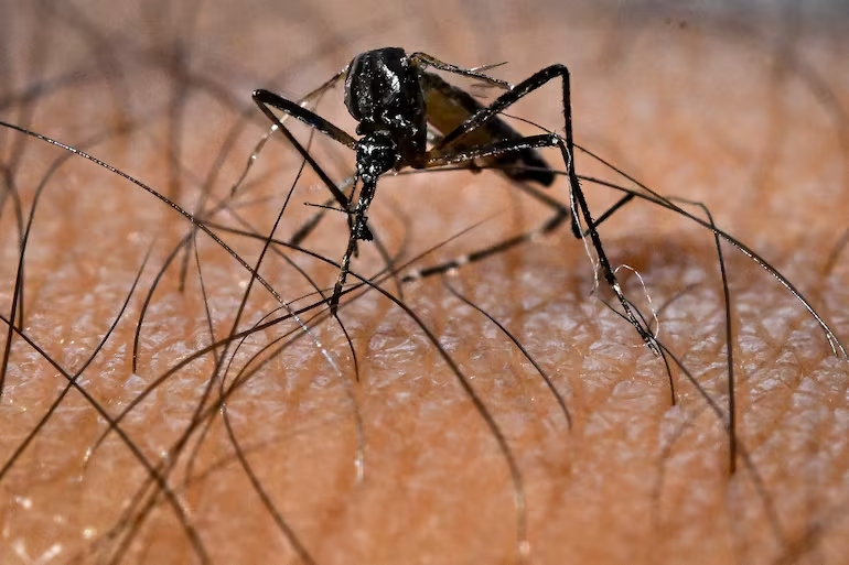 delpynews's tweet photo. ▶️ FALLECE UN NIÑO Y DENUNCIAN MAFIA | 🤬

⭕El pequeño de 8 años murió tras presentar síntomas de dengue y un pediatra denunció una "mafia de terapia intensiva", la cual habría impedido un traslado rápido.

📌La criatura ingresó al Hospital distrital de Presidente Franco, pero cuando empeoró y requirió UTI, solicitaron ayuda al SEME, aunque todas las camas del sector público figuraban como ocupadas.

⭕Se extendió la búsqueda al sector privado y la UTI más cercana supuestamente se encontraba a 74 kilómetros, sin embargo, el pequeño perdió la vida en el trayecto.

📌El pediatra Juan Del Puerto aseguró que había camas a unos 6 kilómetros, pero lo enviaron mucho más lejos con la intención de que el centro asistencial privado saque beneficios, pues el Ministerio de Salud reembolsa los gastos.

Fuente: ABC Color.