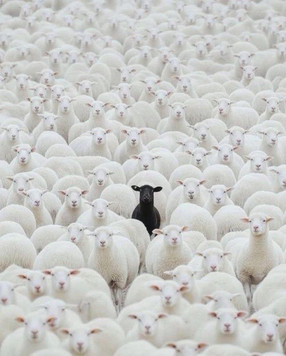 Dare to be different!‼️‼️❤️