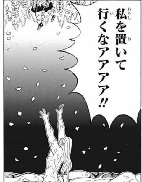 赤狐 tweet media