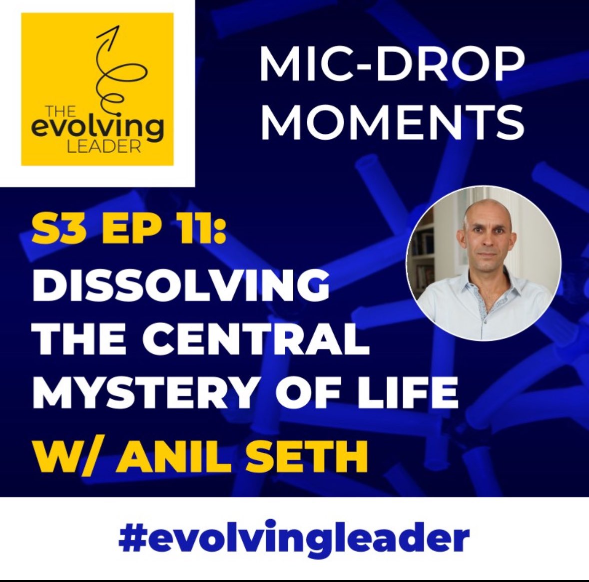 The Evolving Leader Podcast tweet media