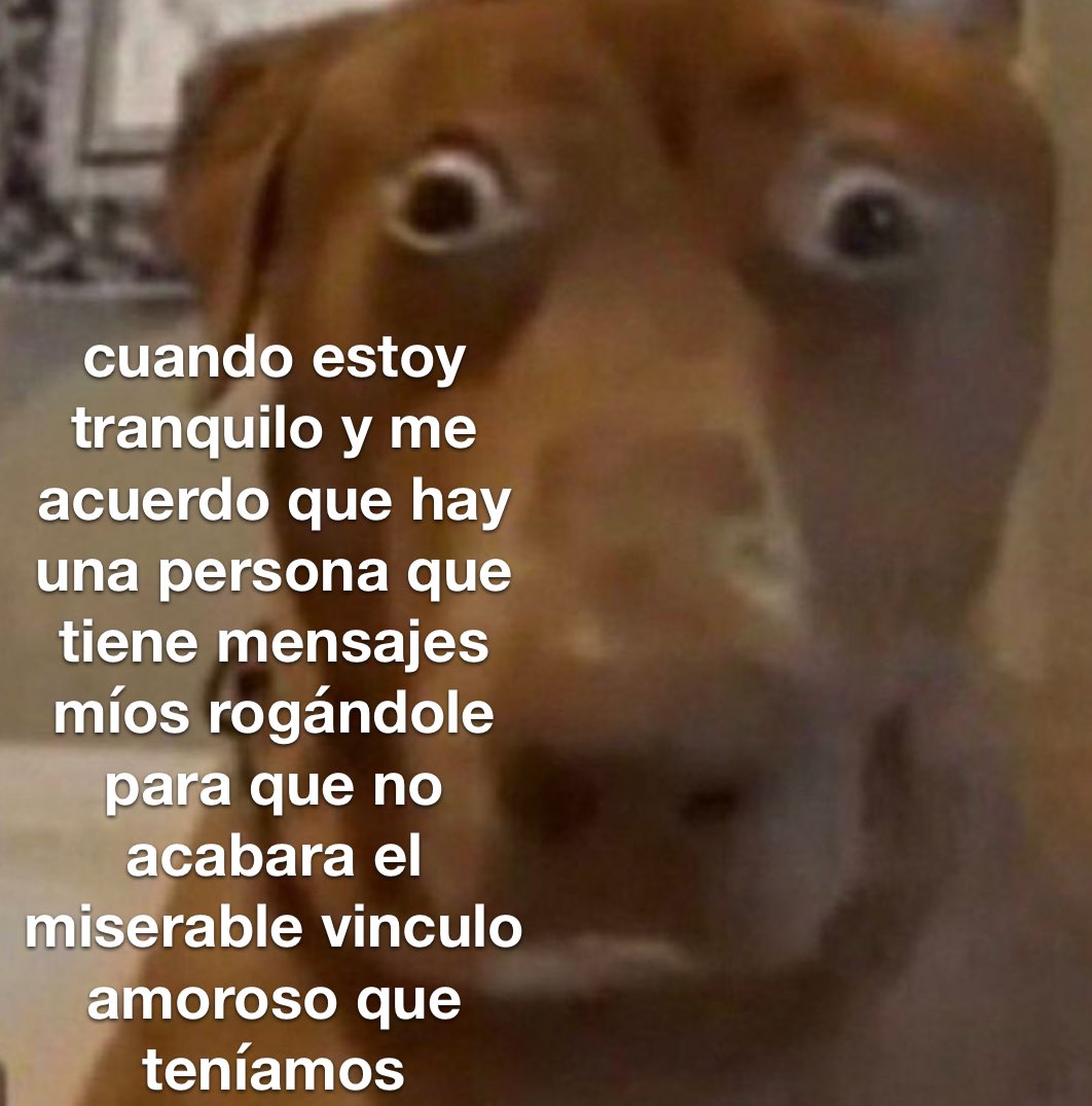 emociones amarillas (@conoloracigarro) on Twitter photo 