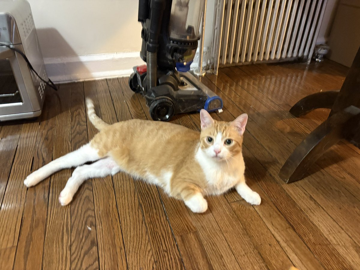 I have this donut that someone gave me this morning… it sure would be a shame if something were to… happen to it