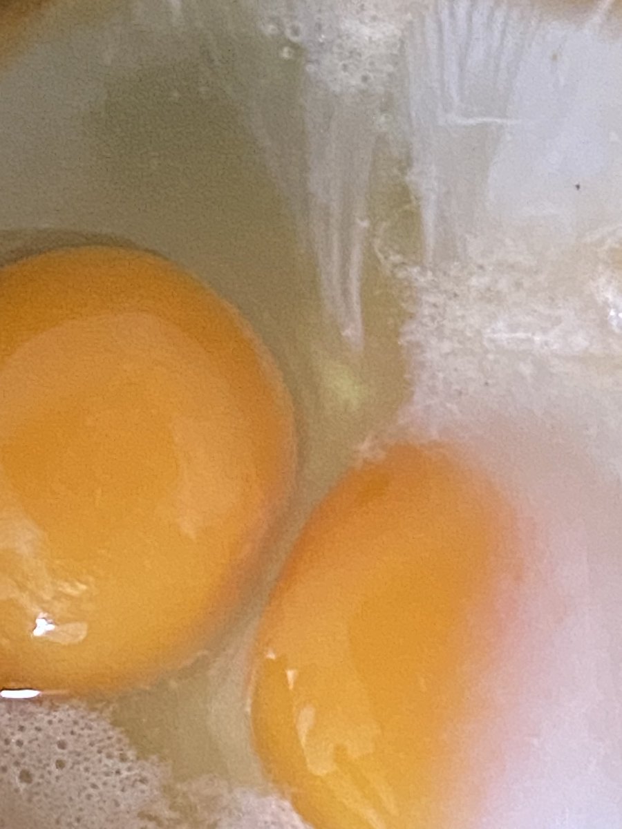 fc251375296's tweet photo. 一つの卵に2人入ってた🥚👬 https://t.co/weE4mPPBYt