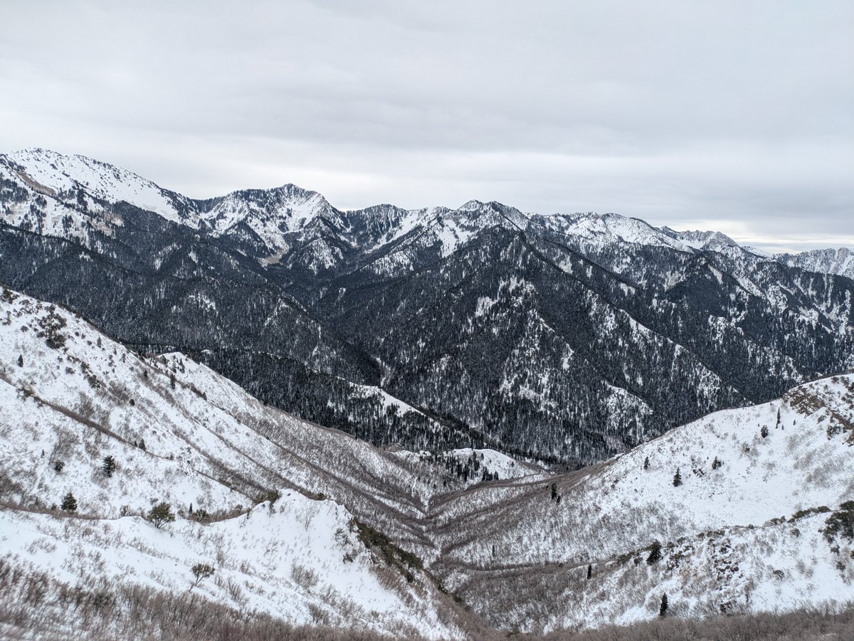 Roubaix 🇵🇸 tweet media