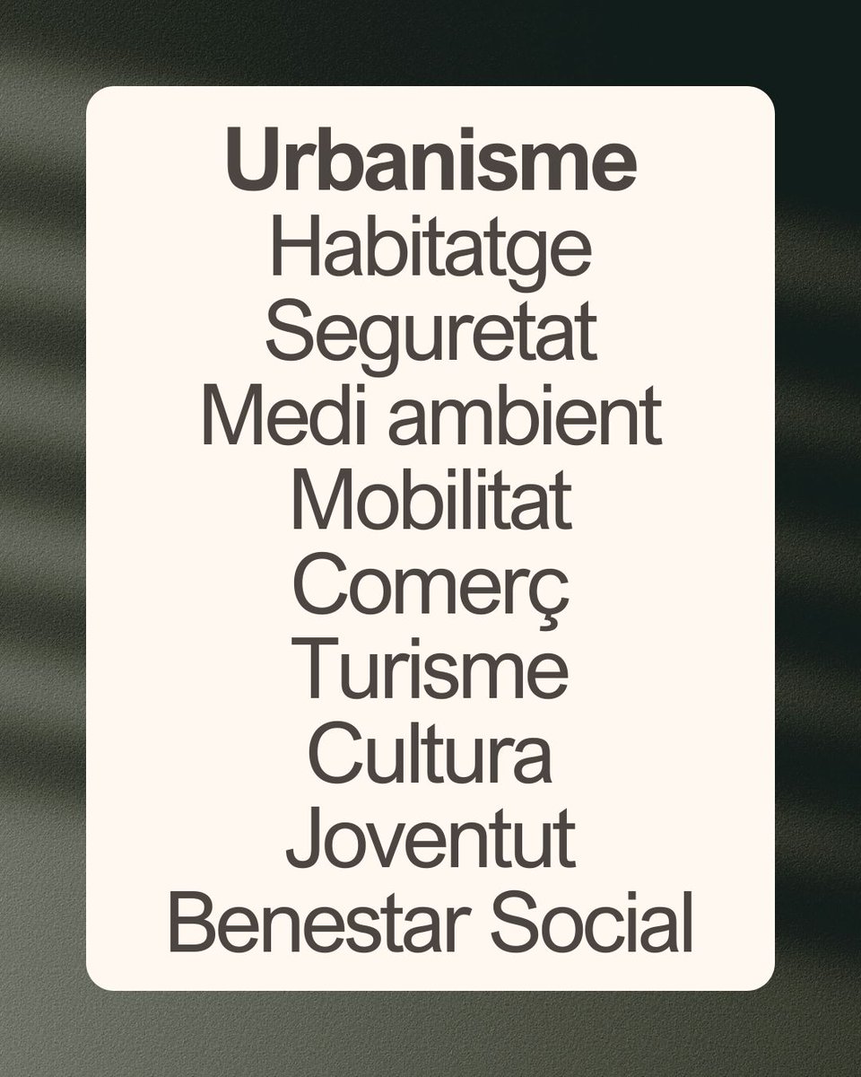 📢En el passat ple del 27 de gener, vam portar algunes de les nostres demandes Durant els pròxims dies, compartirem un resum de les principals peticions que hem presentat mitjançant instàncies, àrea per àrea. abavalls.cat

#valls #sombarriantic