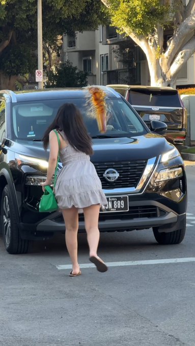 NYC driver gets what he deserves @your_scumbagdad https://t.co/2A4ZX3hCRZ