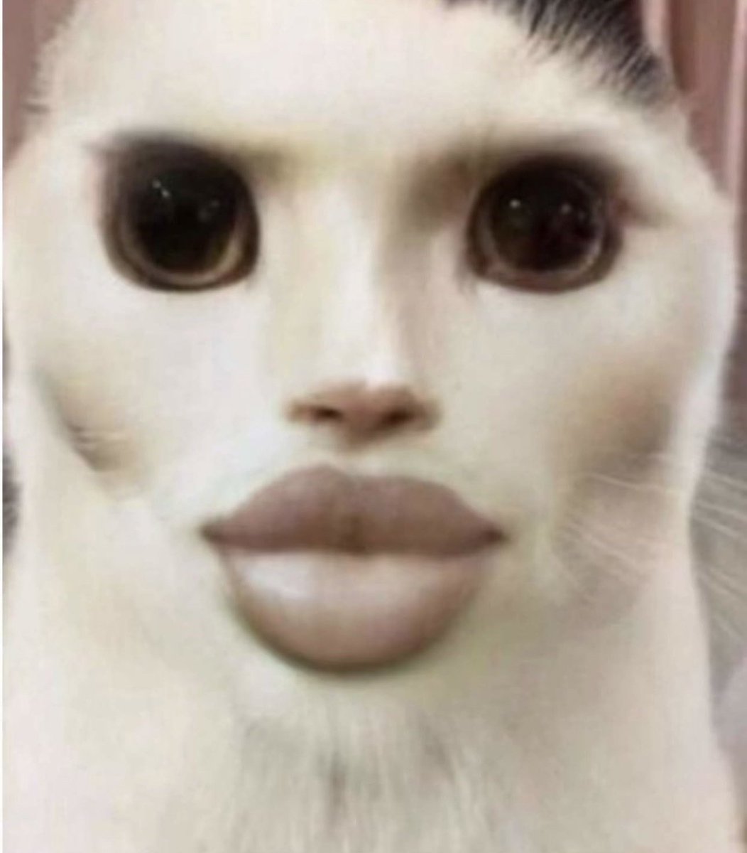 بنات وقفين النشر برمضان شهر مبارك