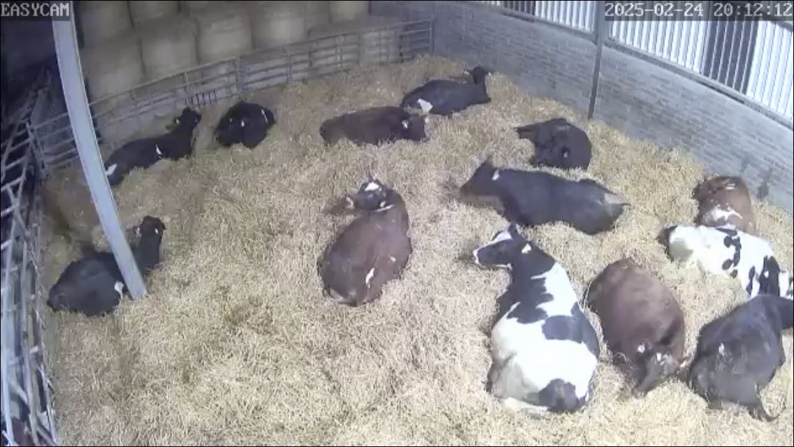 Catherine tweet media