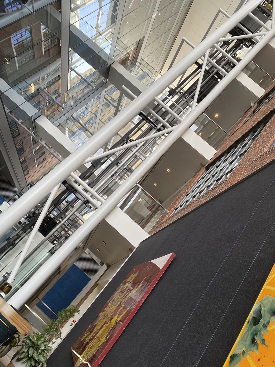 Shahram Seyedin-Noor tweet media