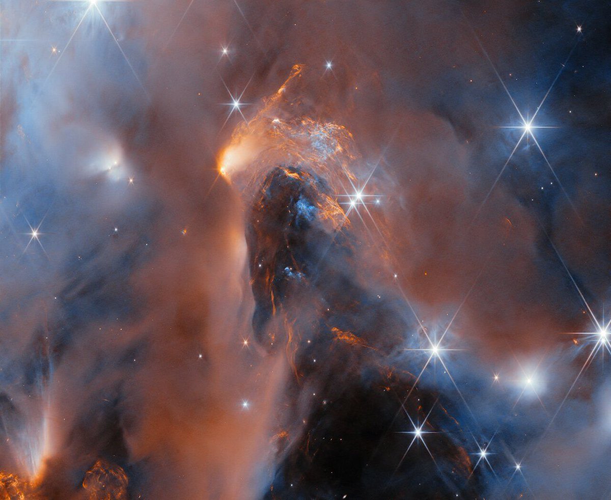 The SETI Institute tweet media