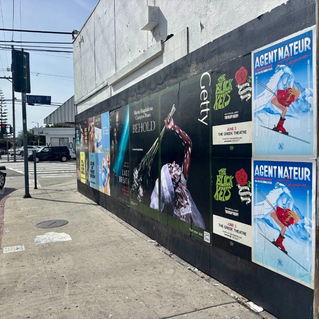 Wild Posting® tweet media