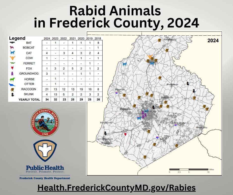 The Frederick County Health Department is releasing its 2024 rabid animal update. In 2024, more than 250 animals were tested for rabies and 34 tested positive. Visit the link below for the full press release.  health.frederickcountymd.gov/DocumentCenter…