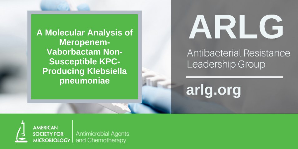 ARLGnetwork's tweet image. New publication alert: #ARLGNetwork researchers identified molecular mechanisms of meropenem–vaborbactam (MV) non-susceptibility in KPC-Klebsiella pneumoniae. Read more: duke.is/ARLG-Pub-08-24 @ASMicrobiology