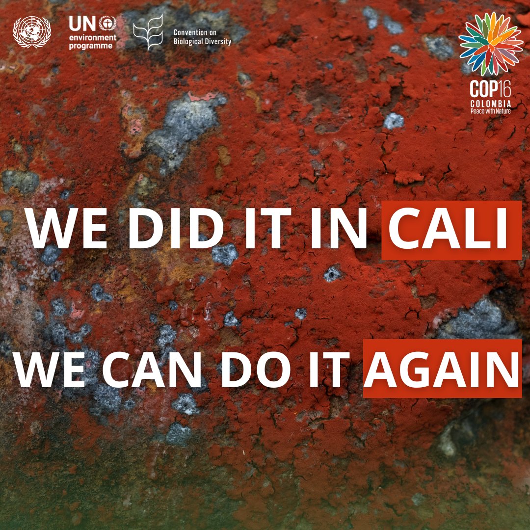 GlobalGoalsUN's tweet photo. 🌍 In Cali, we showed the world what collaboration for biodiversity looks like.

Now, it's time to come together once more to drive action, secure resources, and make #PeaceWithNature a reality.
#COP16Colombia #COP16Resumed
➡️https://t.co/xxv2iwtLTK https://t.co/IoP8sEaBnx