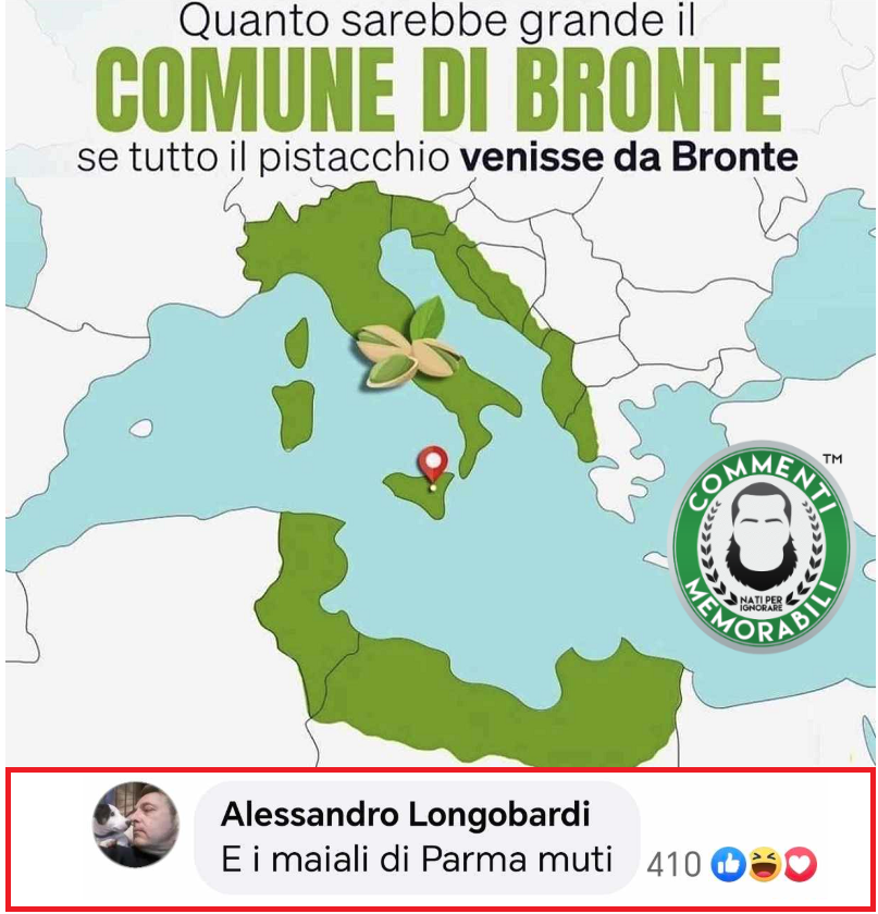 Qualcuno doveva pur rappresentarlo. #commentimemorabili #pistacchiodibronte #ammettetelo