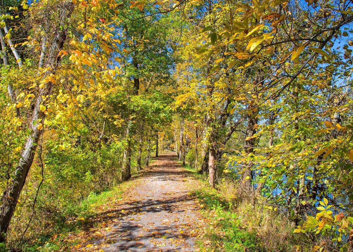 This is the towpath in the Canal Lands Park of the Ohio &amp; Erie Canalway National Heritage Area near Zoar, Ohio. The canal was constructed in the 1820 - and carried freight traffic until the arrival of railroads. #explore #travel #photography

pixels.com/featured/pathw…